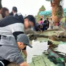 스타피시존 이미지