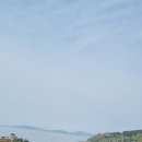 배가정원민박 네이버블로그