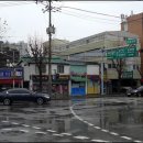 꿩대신닭 이미지