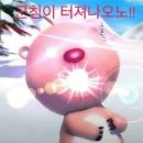 털보수산물 네이버블로그