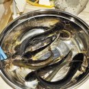 소로낚시터 이미지