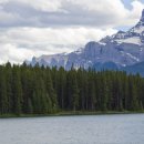 (유)동 호 이미지