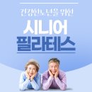 비버스필라테스 이미지