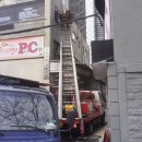 오렌지피시방 이미지