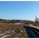 신애낚시터 이미지