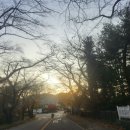 용인시립골드 테니스장 이미지