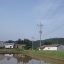 향란농장 Daum카페