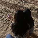 쁘띠포레유치원 | 이모저모쓰리