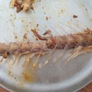 시골백반 이미지