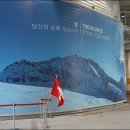 여수세계박람회국제관 티스토리