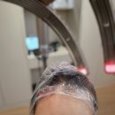 일산 웨스터돔 미용실 장항동미용실 세븐스헤어 신시아김 원장님 모발재생크리닉전문 크리스탈 클리닉 후기
