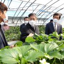 양창근농장 이미지