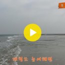 ◆맨발로 걸으면 기적이 일어난다(4) 이미지