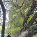 울산선암호수공원 함안입곡저수지 이미지