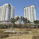 동편마을 공원 앞 이미지