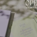 주식회사 두부누나네 이미지