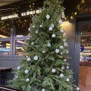 지구쓸맥 | &lt;구디 생맥맛집 &gt;지구를 쓸어버릴 맥주 지구쓸맥 방문 후기