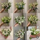 플로라제이 이미지