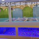 라라키즈 어드벤처 부산점 이미지