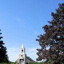 리빙워터(Living water) 이미지