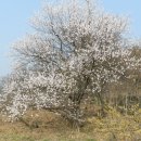 수락폭포 주차장 이미지