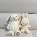 한샘동물병원 | 만삭 임산부의 바쁜 일상(출산 가방, 산후도우미, 빨래, 아기용품 준비)