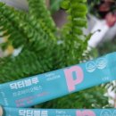 피누스스토어태양 이미지