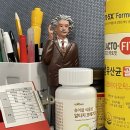 먹어야산다 이미지