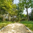 남부공원(제26호완충녹지) 이미지