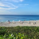 (합)중부가나렌트카 | 오키나와 더 문비치 뮤지엄 리조트 위치 가는법 중부호텔 추천