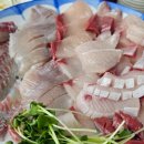 노량진수산시장 대방어 시세 포장 가격 맛집에서 사야지 후회없어