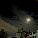 이*복 이미지