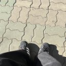 원호농장(1) 이미지