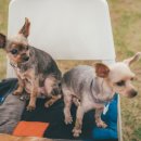 서부농업기술센터 이미지