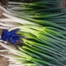 다한농장 이미지