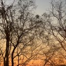 에제르 | [인천 가족모임] 엄마 생신 파티! 야외 감성 가득한 ‘에제르파크’ 방문 후기