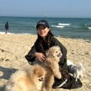 바른케어대전센터 이미지