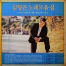 김형곤 노래모음집 [빛나라 마이클 잭슨] (1984) 이미지