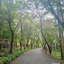 옥화자연휴양림 국민여가오토캠핑장 | 청주 옥화자연휴양림 향나무 숲속의 집 국림여가오토캠핑장주차장