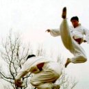 이크