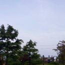 발리펜션 이미지