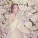 영솔라