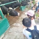 후사랑밀크(환희목장) 이미지