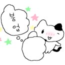 블랙빈(BLACKBEAN) 이미지