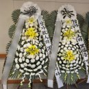 서울특별시보라매병원 이미지