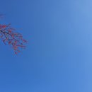 아프지마오약국 이미지