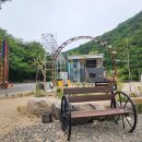 하늘숲 오토캠핑장 이미지