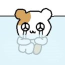 임*채 | 서울 솔로파티 효스타임 신촌 재도전 후기