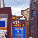 섬in섬 연홍미술관 | 전남 고흥 예술의섬 미술관마을 연홍도 풍경 산책로