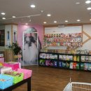 프란다스의 개 이미지